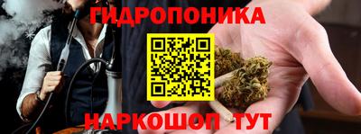 соль ск Свободный
